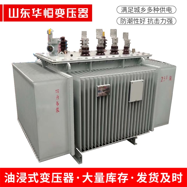 S13-10000/35安国安国安国电力变压器厂家