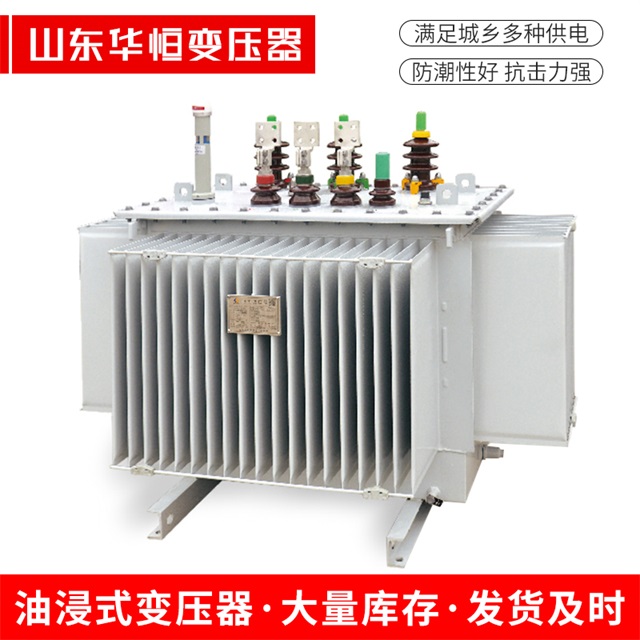 S13-10000/35安国安国安国电力变压器