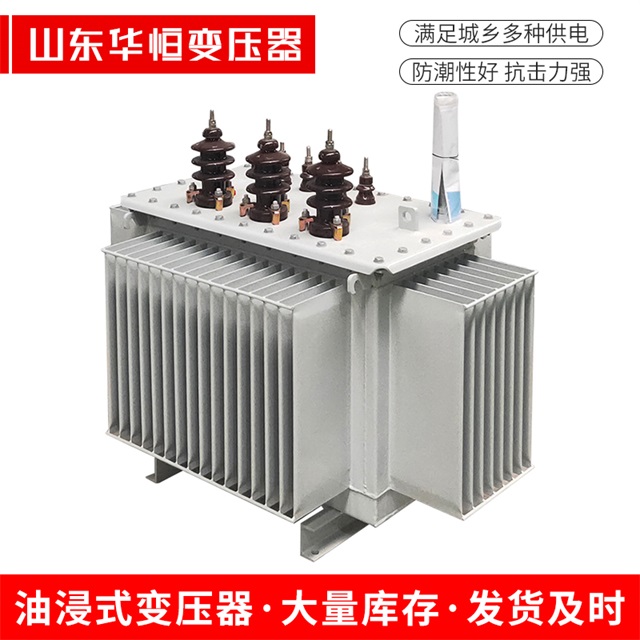 S13-10000/35安国安国安国油浸式变压器厂家